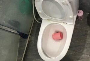 Làm rơi đồ nhựa xuống bồn cầu gây tắc nghẽn, hư hỏng đường ống, tốn kém chi phí sửa chữa.