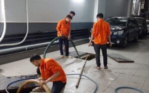 Chọn đơn vị có kinh nghiệm lâu năm và đầy đủ giấy phép hoạt động.