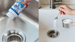 5 loai bot thong cong tot